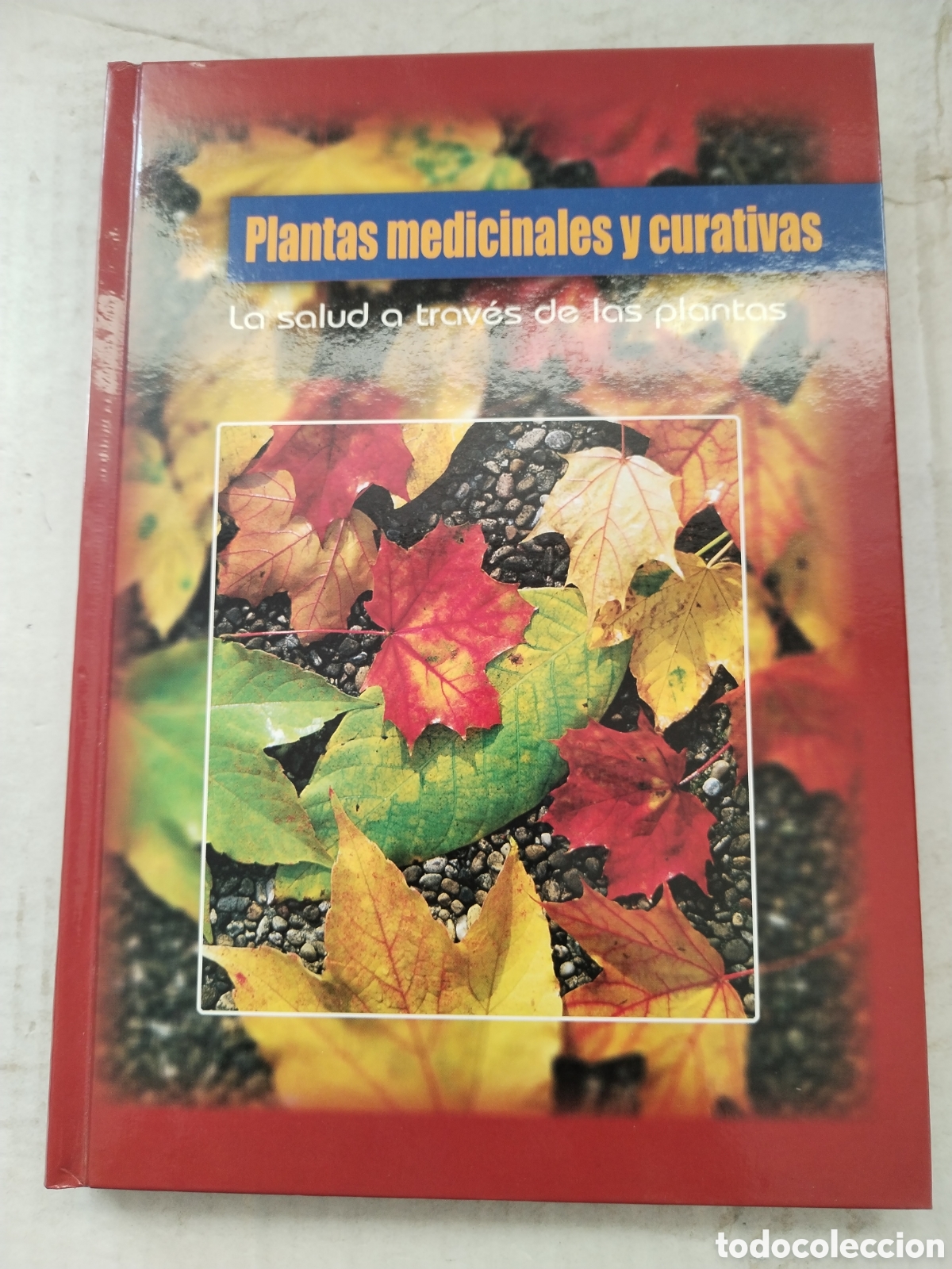 Libros de segunda mano: PLANTAS MEDICINALES Y CURATIVAS