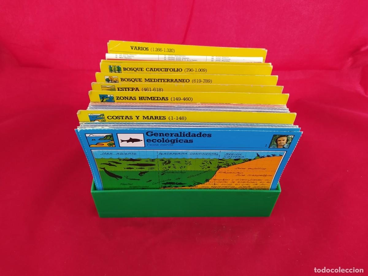 Libros de segunda mano: 600 FICHAS DE LOS AMIGOS DE FELIX RODRIGUEZ DE LA FUENTE + FICHERO ORIGINAL (1980) ANIMALES URBION