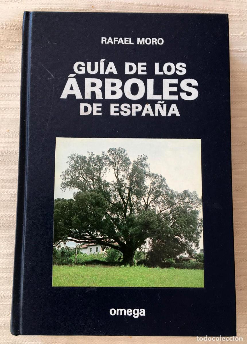 Libros de segunda mano: Libro &rdquo;Gu&iacute;a de los &aacute;rboles de Espa&ntilde;a&rdquo; escrito por Rafael Moro y publicado por la editorial Omega.