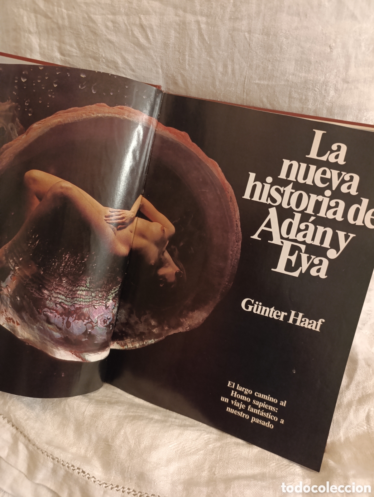 Libros de segunda mano: &rdquo;La nueva historia de Ad&aacute;n y Eva: el largo camino al Homo sapiens&rdquo;,por G&uuml;nter Haaf