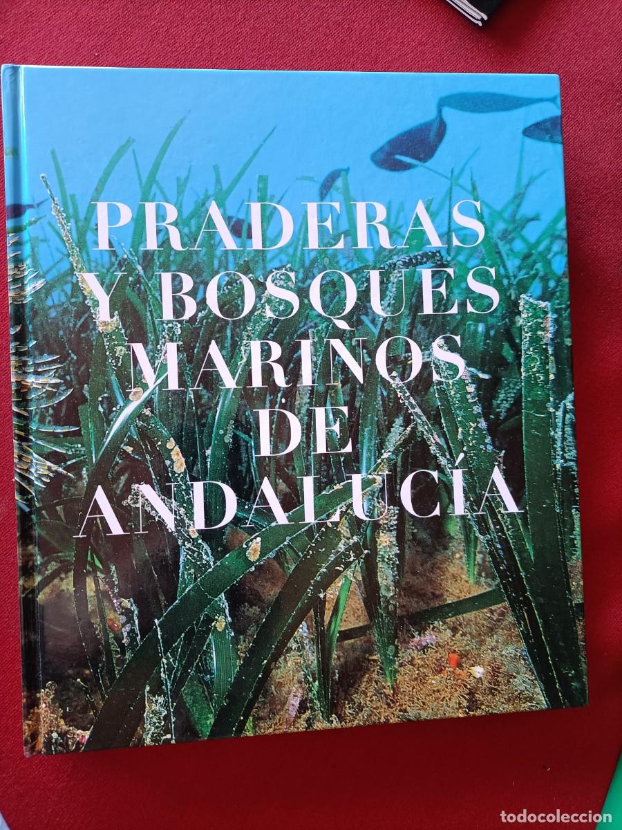 Libros de segunda mano: Praderas y bosques marcos de Andaluc&iacute;a. VV.AA. 2004