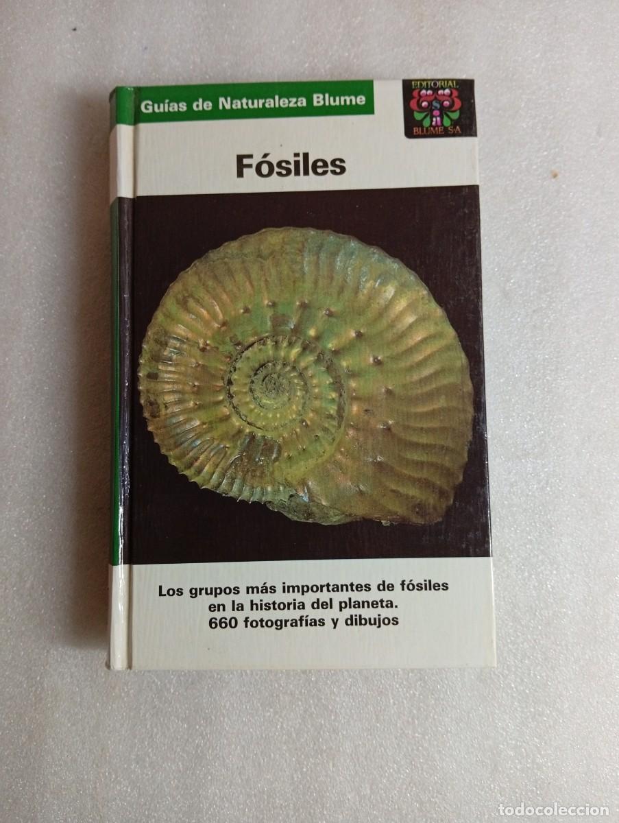 Libros de segunda mano: GUIA DE NATURALEZA BLUME. FOSILES