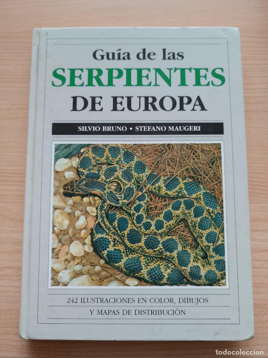 Libros de segunda mano: Gu&iacute;a de serpientes de Europa - Silvio Bruno y Stefano Maugeri. Omega