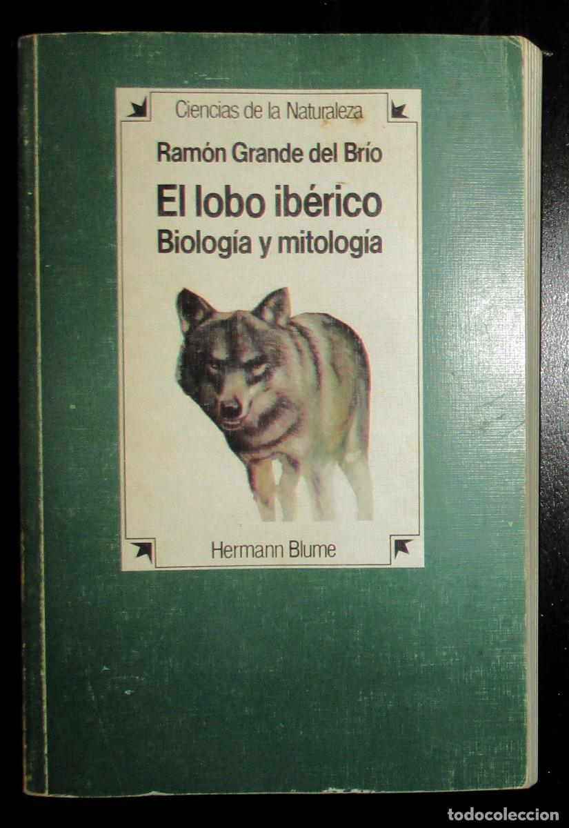 Libros de segunda mano: EL LOBO IB&Eacute;RICO. BIOLOG&Iacute;A Y MITOLOG&Iacute;A. RAM&Oacute;N GRANDE DEL BR&Iacute;O. HERMANN BLUME, 1984. PRIMERA EDICI&Oacute;N.