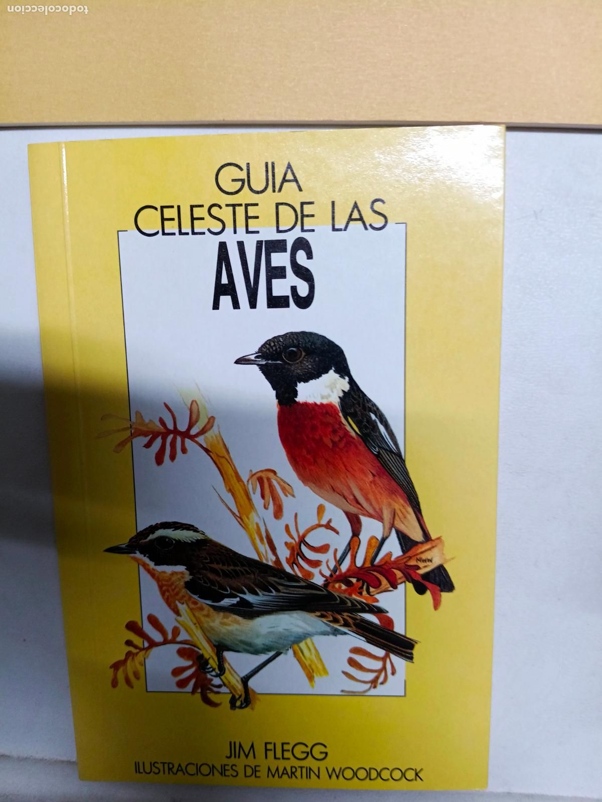Libros de segunda mano: Gu&iacute;a celeste de las aves de Europa.- Flegg, Jim