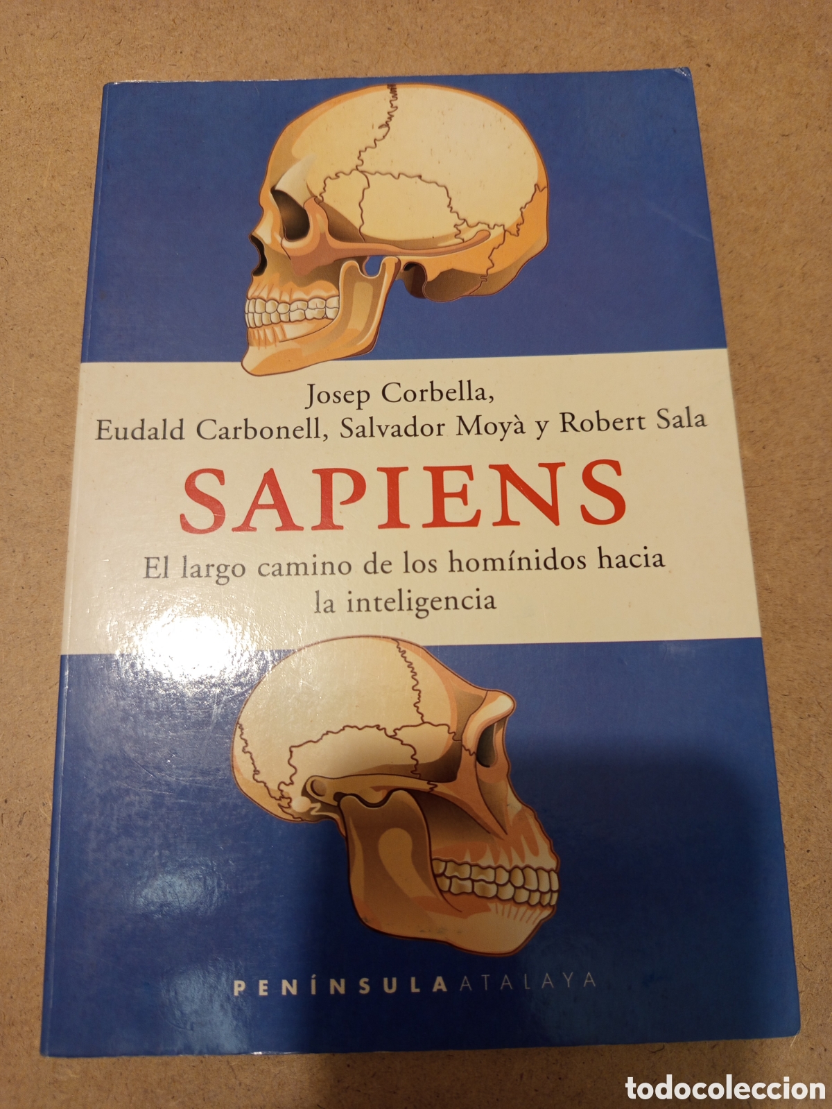 Libros de segunda mano: SAPIENS. EL LARGO CAMINO DE LOS HOM&Iacute;NIDOS HACIA LA INTELIGENCIA (JOSEP CORBELLA)