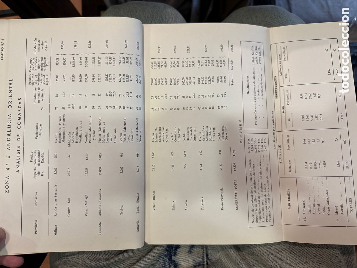 Libros de segunda mano: El OLIVAR espa&ntilde;ol, 1972 - Foto 2