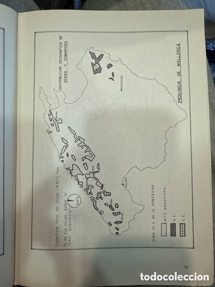 Libros de segunda mano: El OLIVAR espa&ntilde;ol, 1972 - Foto 3