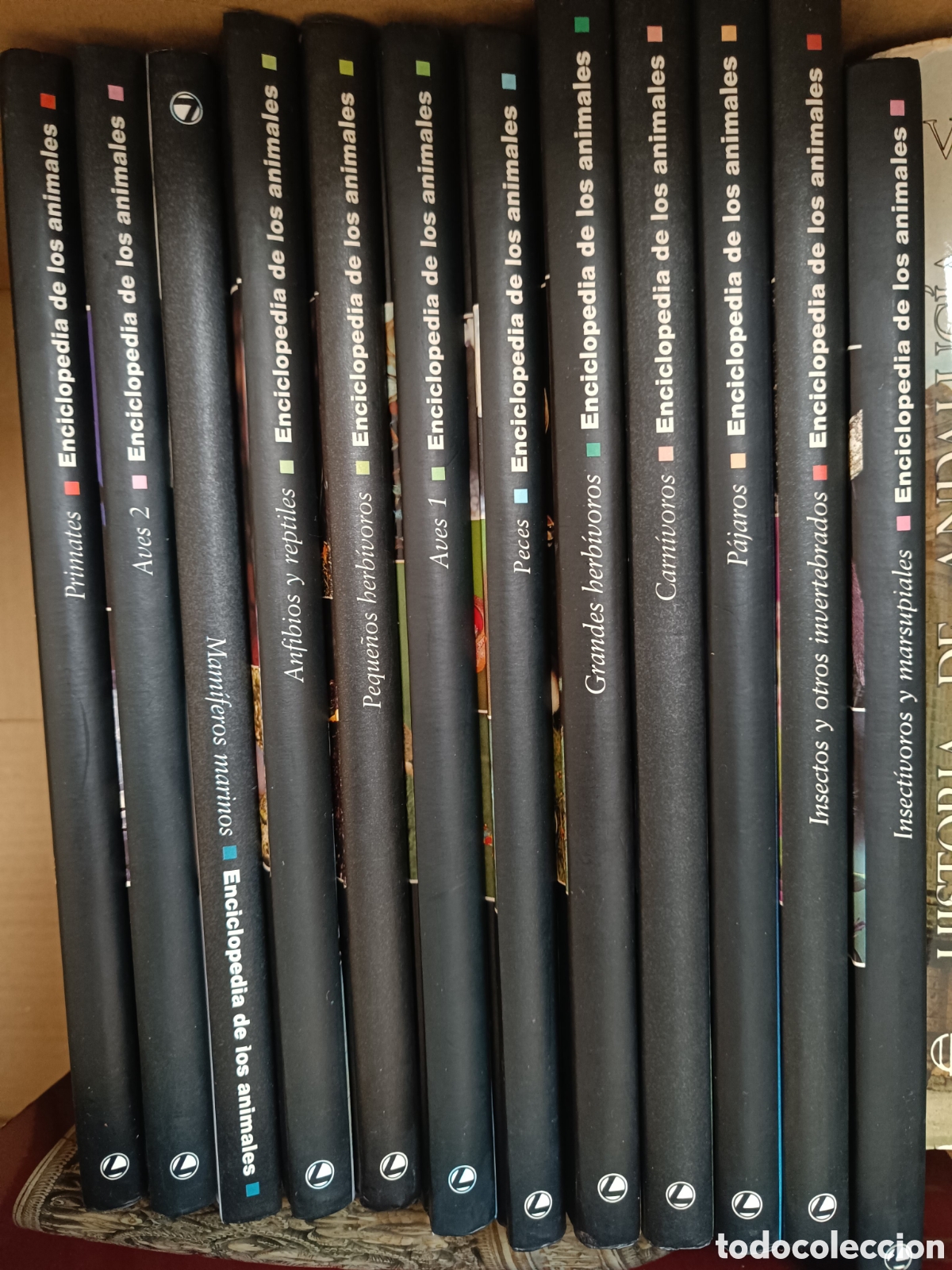 Libros de segunda mano: Enciclopedia de los Animales - Foto 2