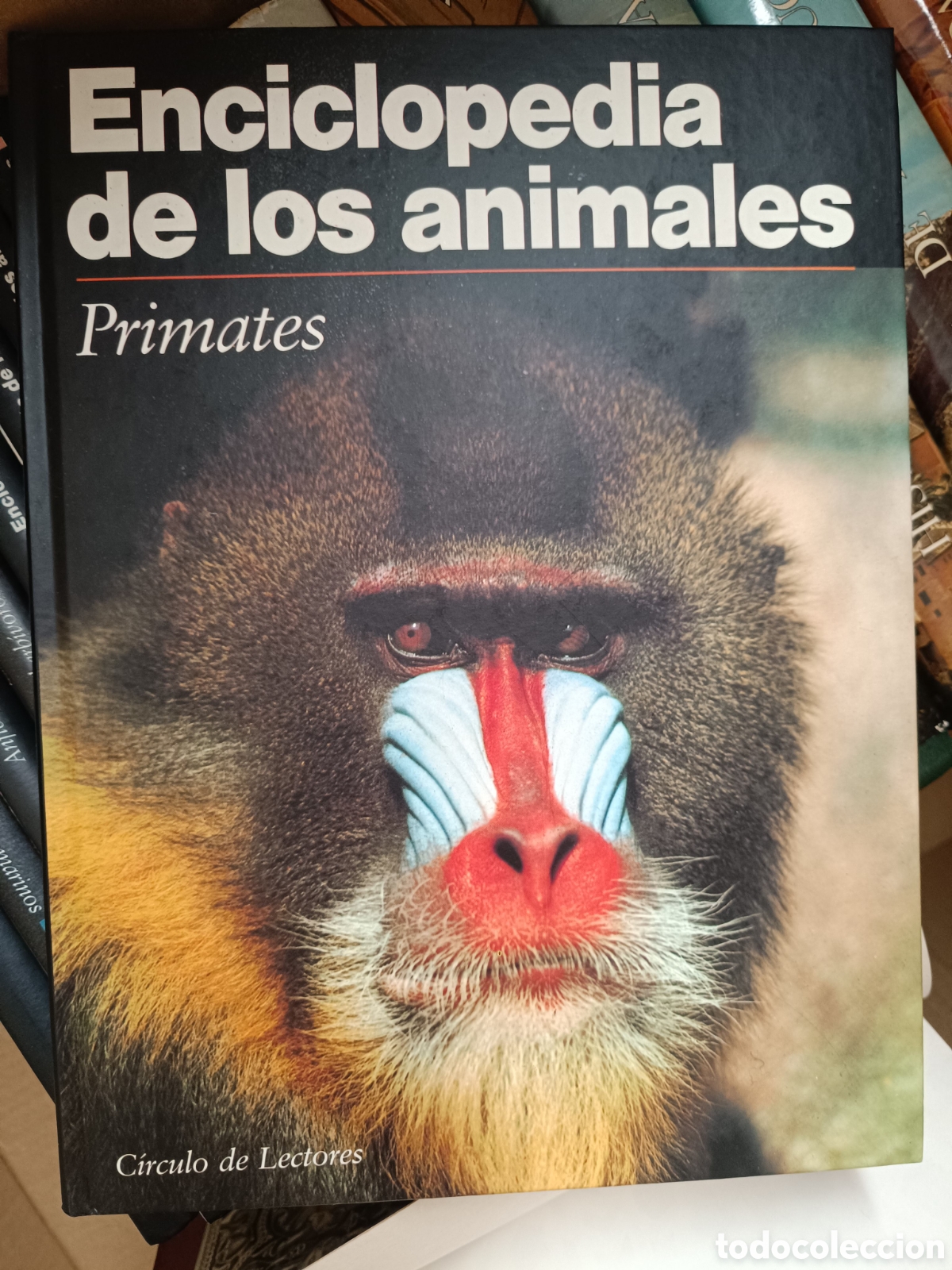 Libros de segunda mano: Enciclopedia de los Animales - Foto 3