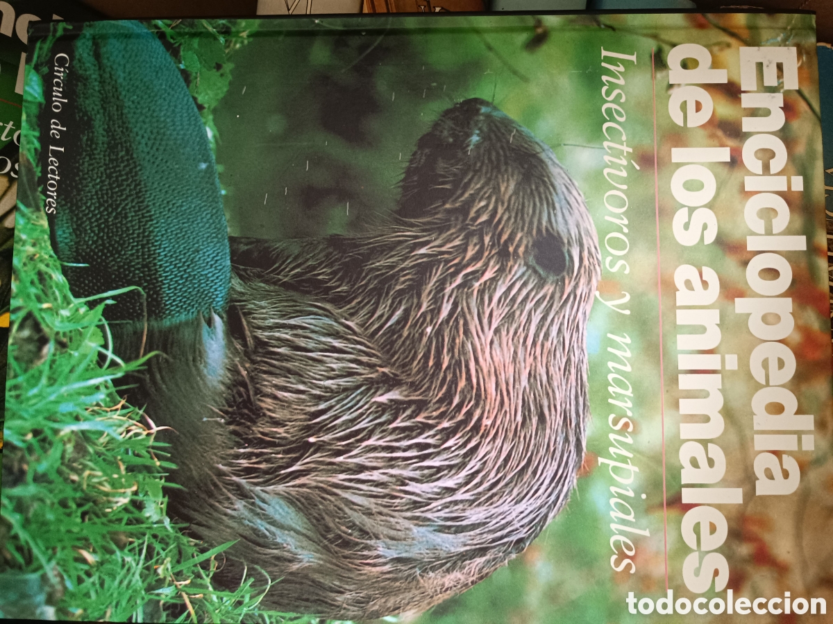 Libros de segunda mano: Enciclopedia de los Animales
