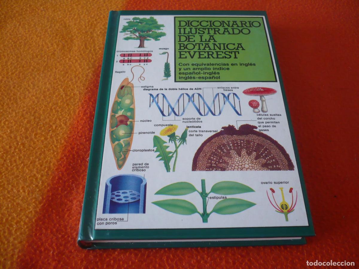 Libros de segunda mano: DICCIONARIO ILUSTRADO DE LA BOTANICA EVEREST 1986 PLANTAS VEGETACION FLORES FRUTOS HONGOS