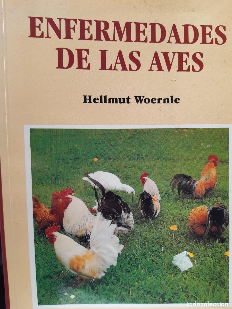 Libros de segunda mano: ENFERMEDADES DE LAS AVES HELLMUT WOERNLE VETERINARIA