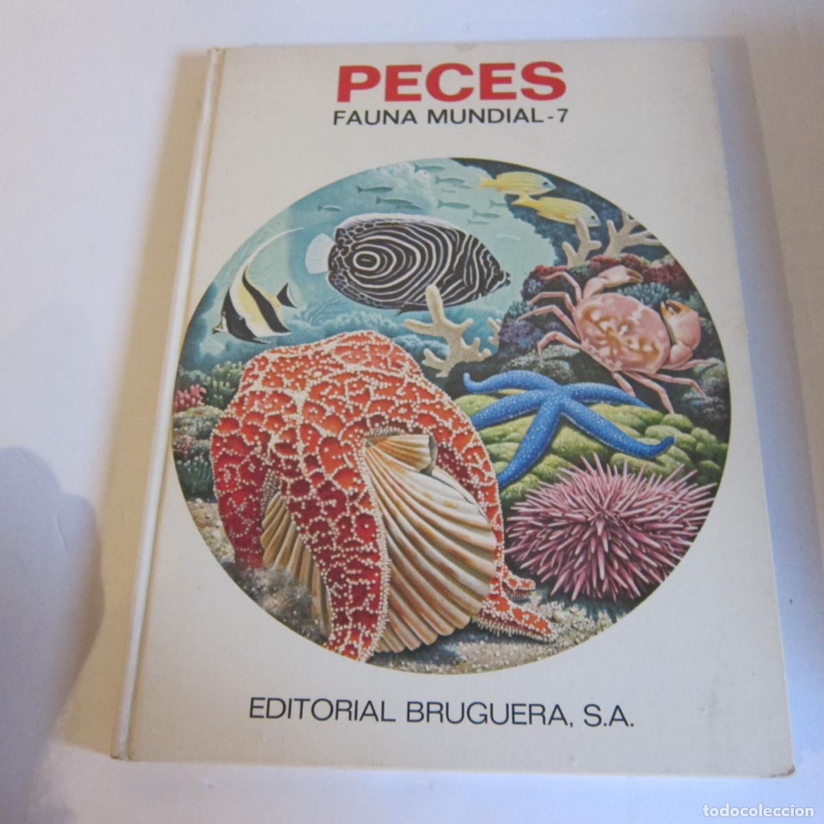 Libros de segunda mano: PECES FAUNA MUNDIAL - ERNESTO P&Eacute;REZ (BRUGUERA) ANIMALES FAUNA