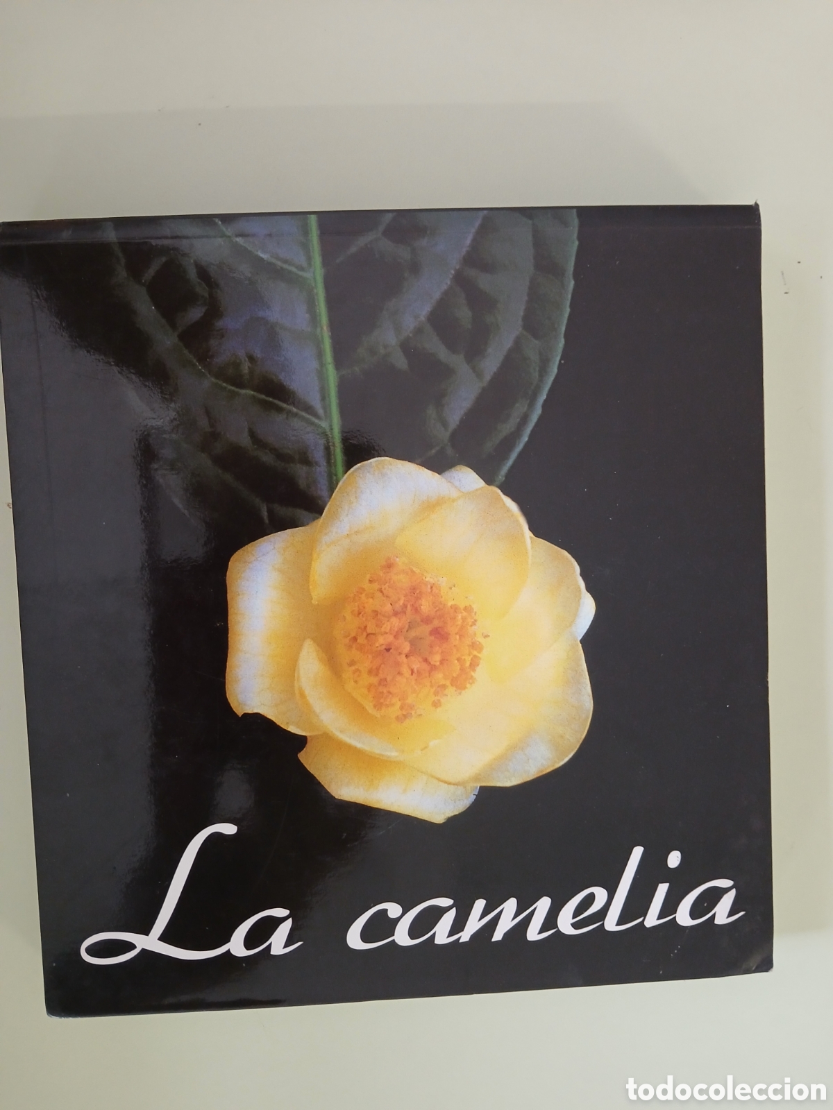 Libros de segunda mano: La Camelia. Excma. Diputaci&oacute;n Provincial de Pontevedra.