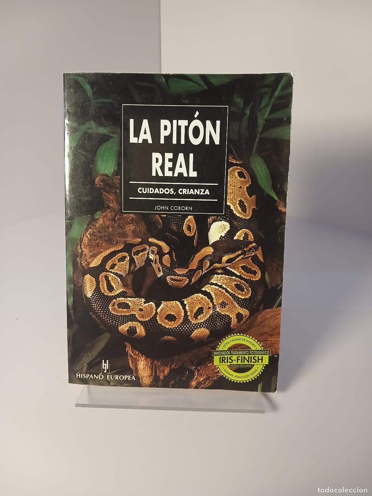 Libros de segunda mano: Manuales del terrario. La pit&oacute;n real - John Coborn
