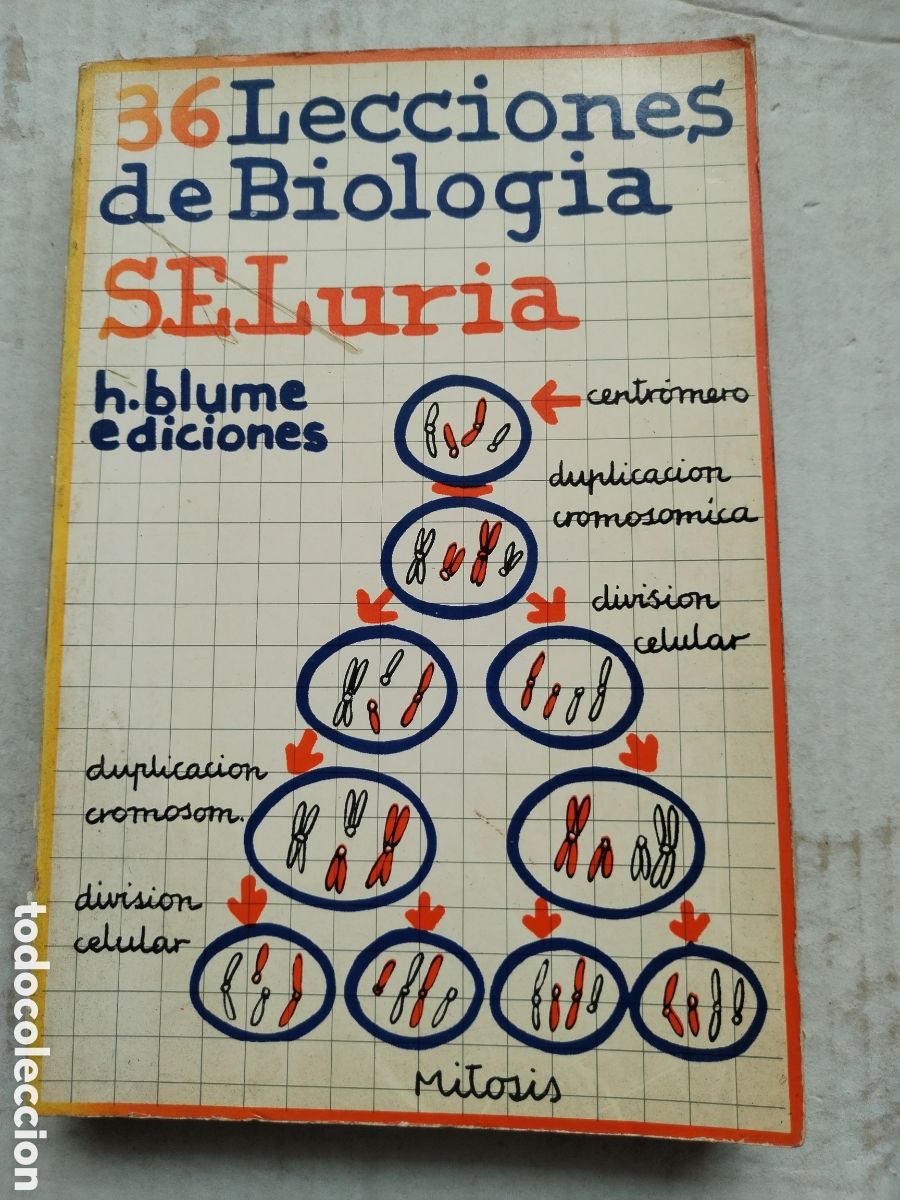 Libros de segunda mano: 36 LECCIONES DE BIOLOGIA/S.E.LURIA
