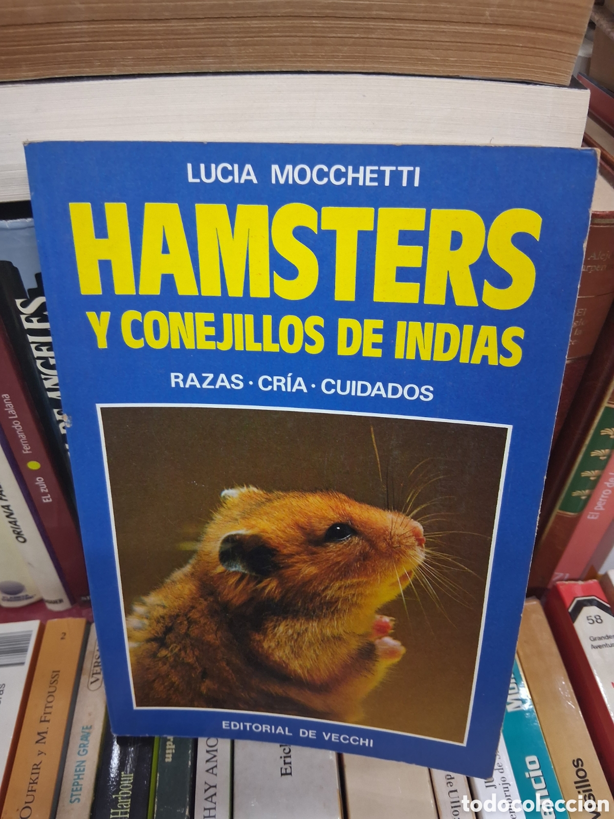 Libros de segunda mano: Hamsters y conejillos de indias. Razas, cr&iacute;a, cuidados - Lucia Mocchetti - Editorial De Vecchi