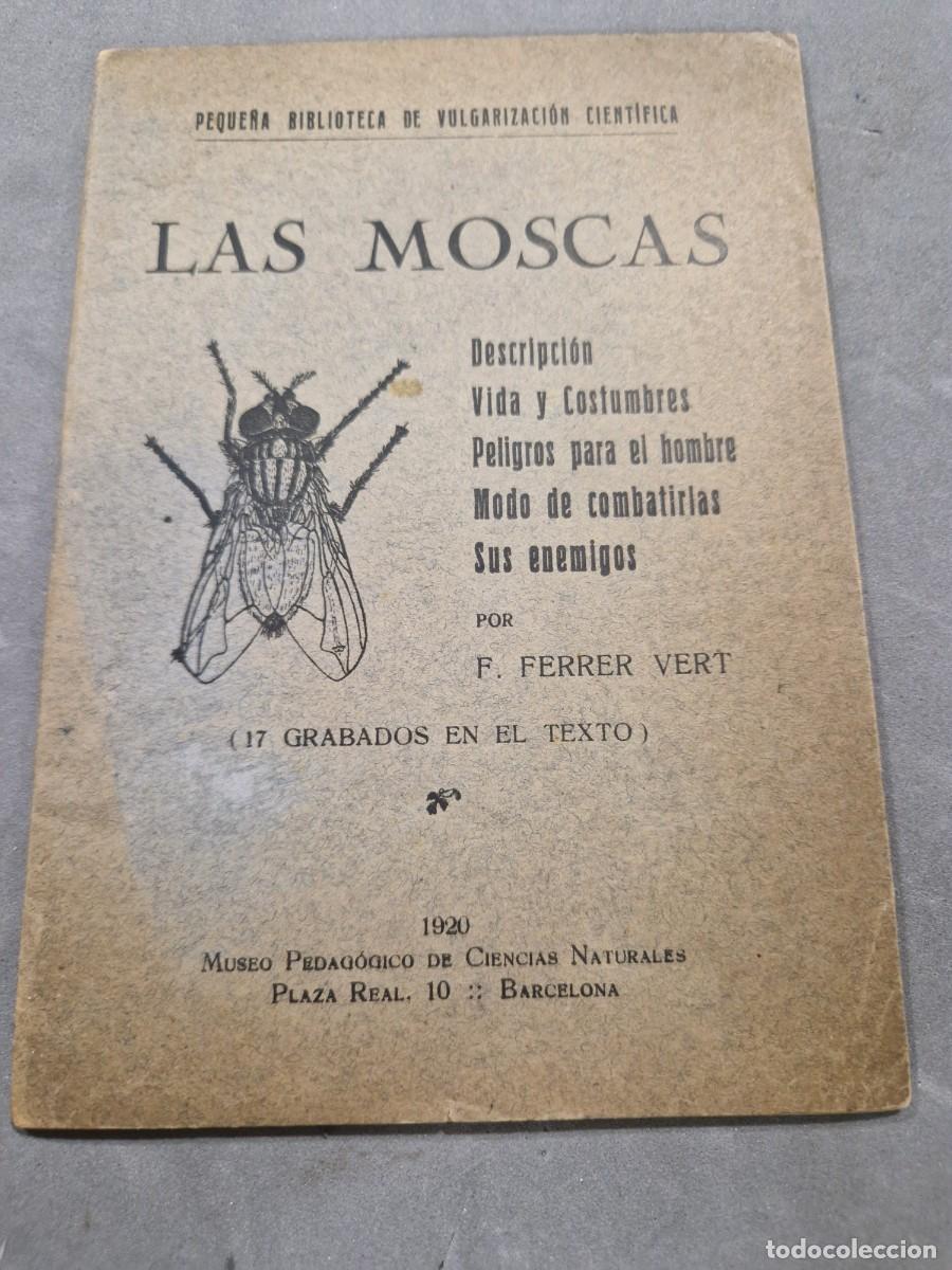 Libros de segunda mano: LAS MOSCAS VIDA Y COSTUMBRES