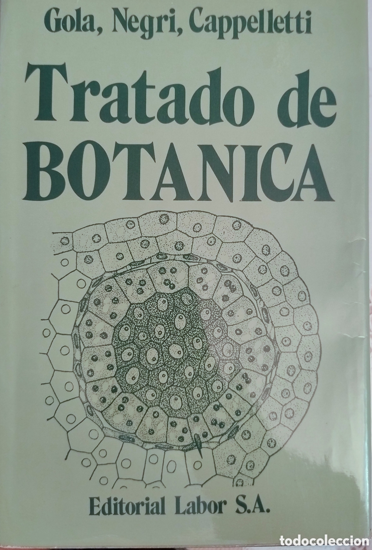 Libros de segunda mano: Tratado de bot&aacute;nica. Gola, Negri, Capoelletti - Foto 1