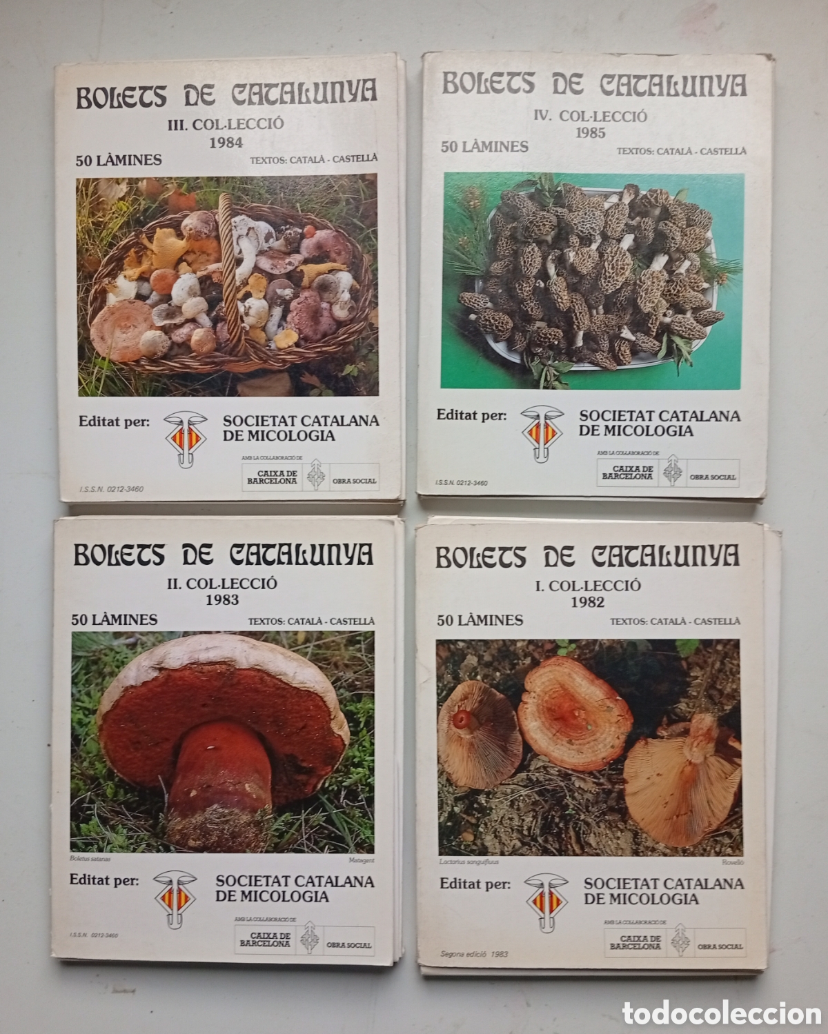 Libros de segunda mano: 4 libros Bolets de Catalunya Societat Catalana de Micologia 200 laminas