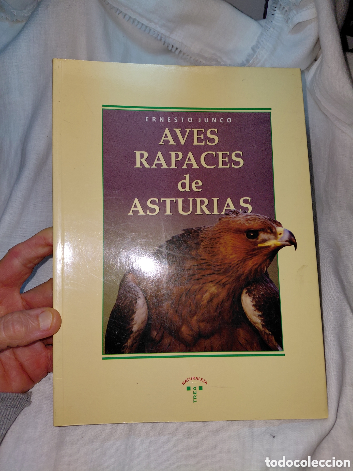 Libros de segunda mano: AVES RAPACES DE ASTURIAS.ERNESTO JUNCO.EDICIONES TREA 1993.-1&ordf; EDICION