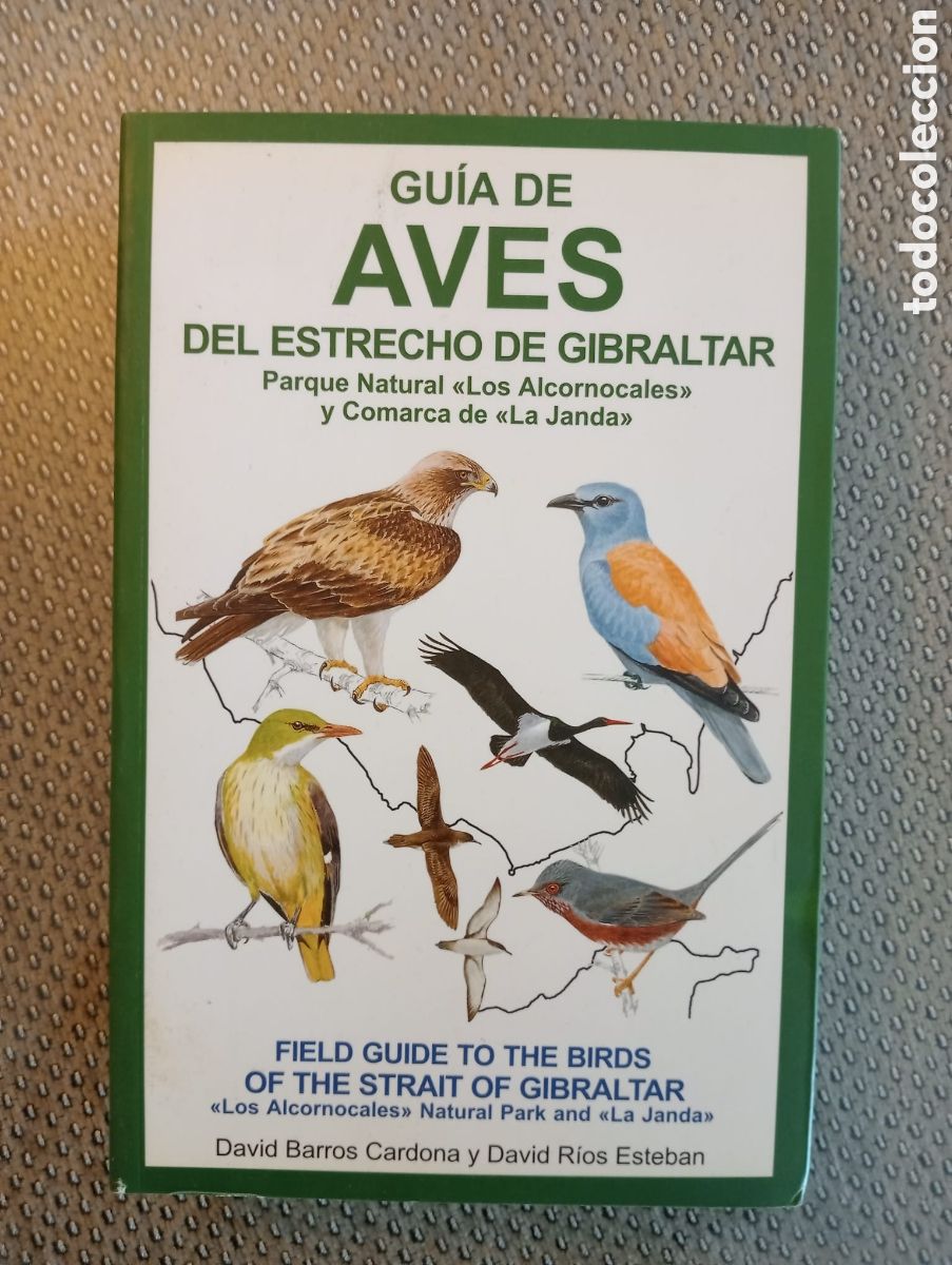 Libros de segunda mano: Gu&iacute;a de aves del estrecho de Gibraltar / David Barros Cardona y David R&iacute;os Esteban