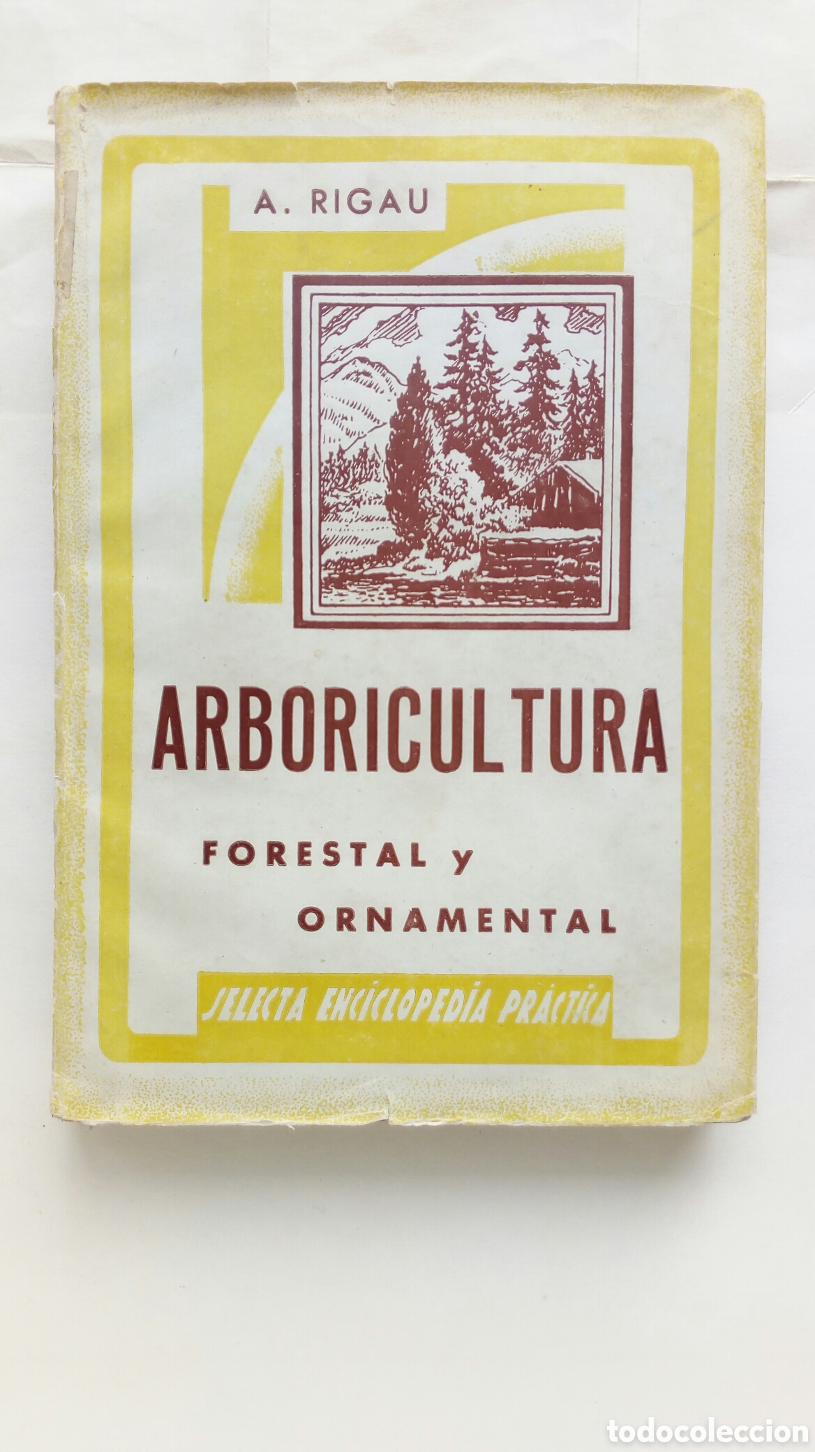 Libros de segunda mano: Arboricultura. Forestal y Ornamental. Alejo Rigau.