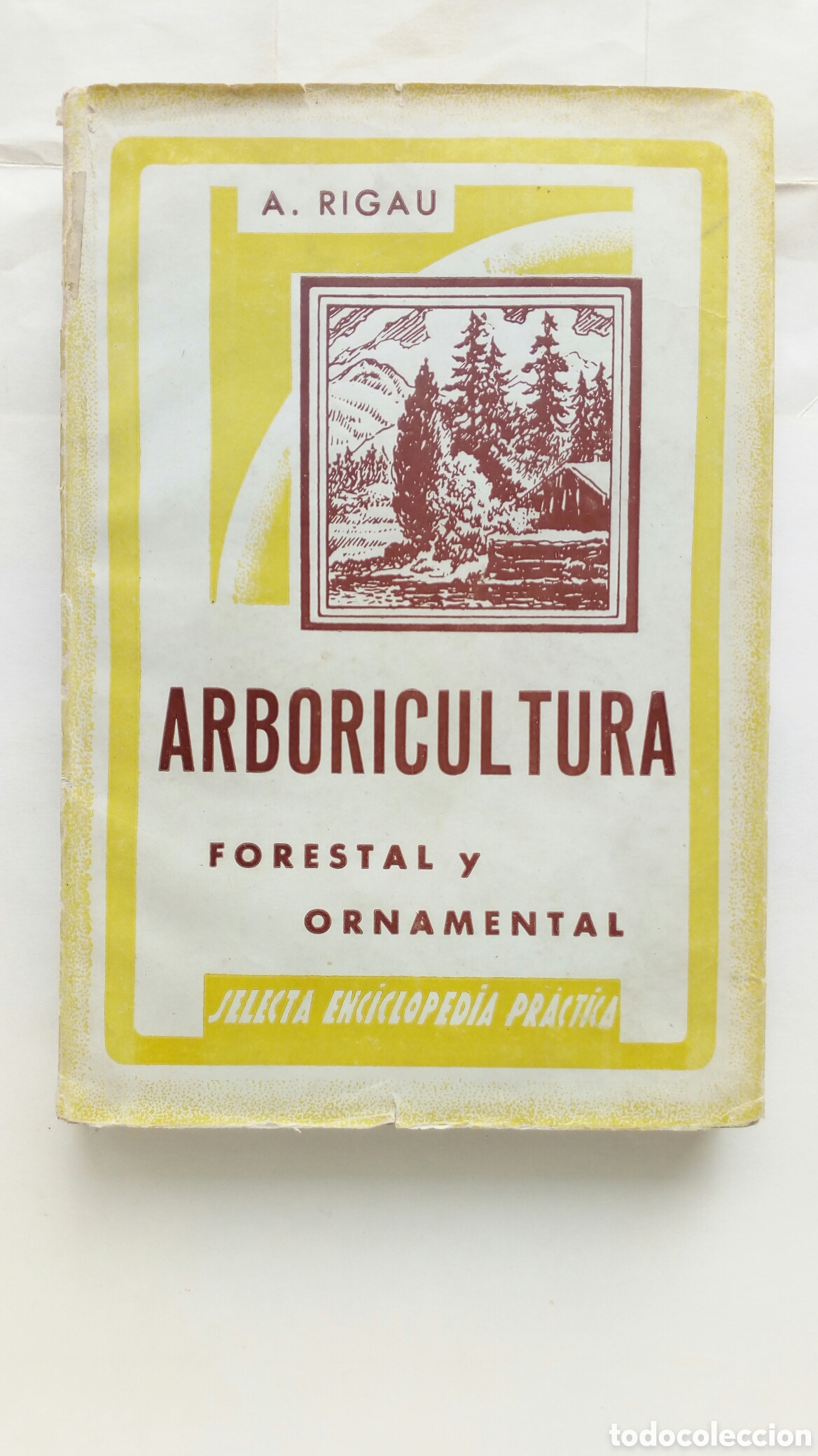 Libros de segunda mano: Arboricultura. Forestal y Ornamental. Alejo Rigau.