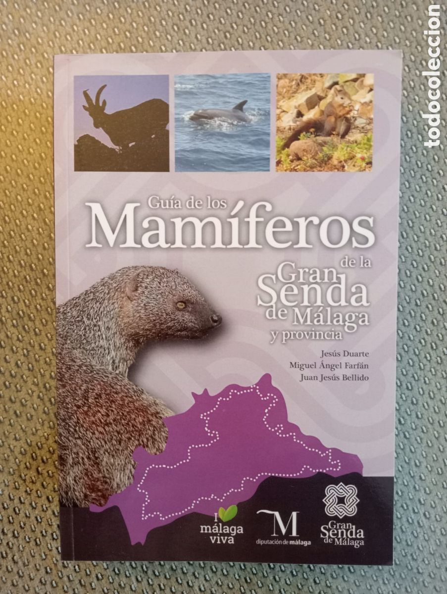 Libros de segunda mano: Gu&iacute;a de mam&iacute;feros de la gran senda de M&aacute;laga y provincia. Diputaci&oacute;n de M&aacute;laga