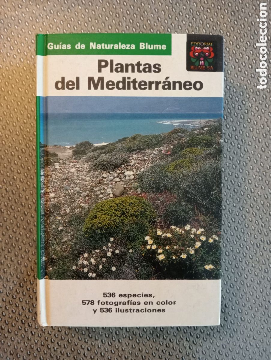 Libros de segunda mano: Plantas del Mediterr&aacute;neo. Gu&iacute;as de Naturaleza Blume