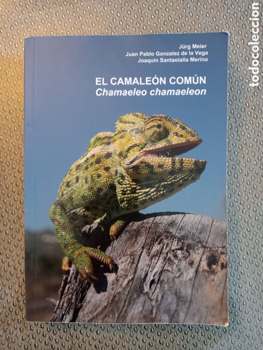 Libros de segunda mano: El camale&oacute;n com&uacute;n. Chamaeleo chamaeleon - J. Meier, J.P. Gonz&aacute;lez de la Vega y J. Santaolalla Merino