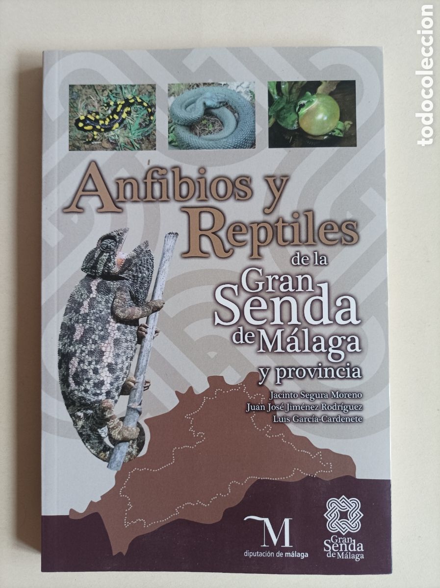 Gebrauchte B&uuml;cher: Anfibios y reptiles de la gran senda de M&aacute;laga y su provincia. VV.AA. Diputaci&oacute;n de M&aacute;laga