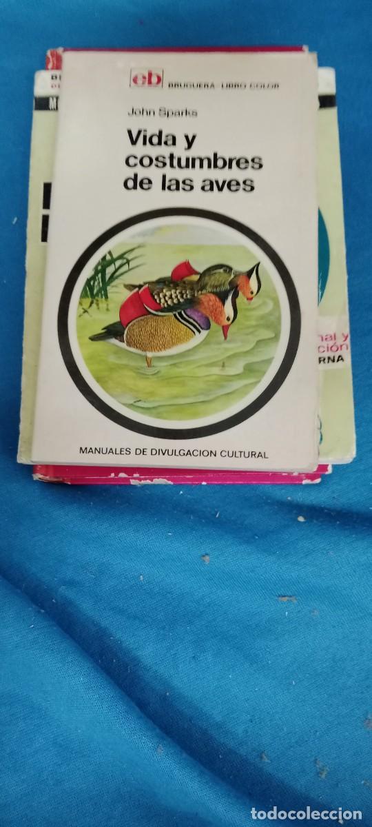 Libros de segunda mano: J. SPARKS : VIDA Y COSTUMBRES DE LAS AVES (BRUGUERA LIBRO COLOR LIBRO GG-BTJ