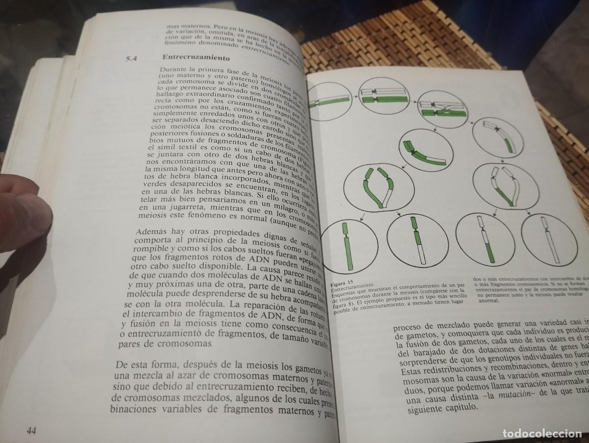 Libros de segunda mano: EVOLUCI&Oacute;N LA TEOR&Iacute;A DE DARWIN/ COLIN PATTERSON - Foto 4