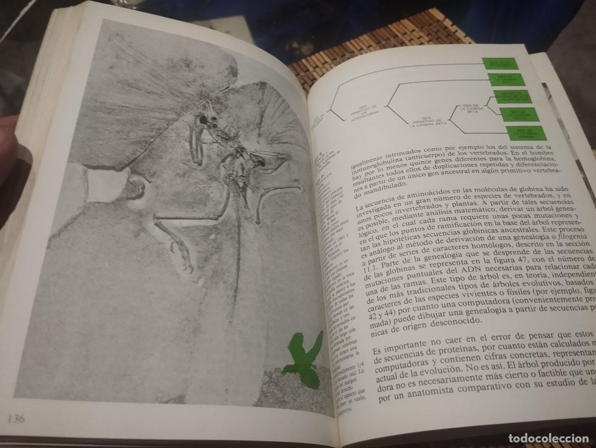 Libros de segunda mano: EVOLUCI&Oacute;N LA TEOR&Iacute;A DE DARWIN/ COLIN PATTERSON - Foto 5