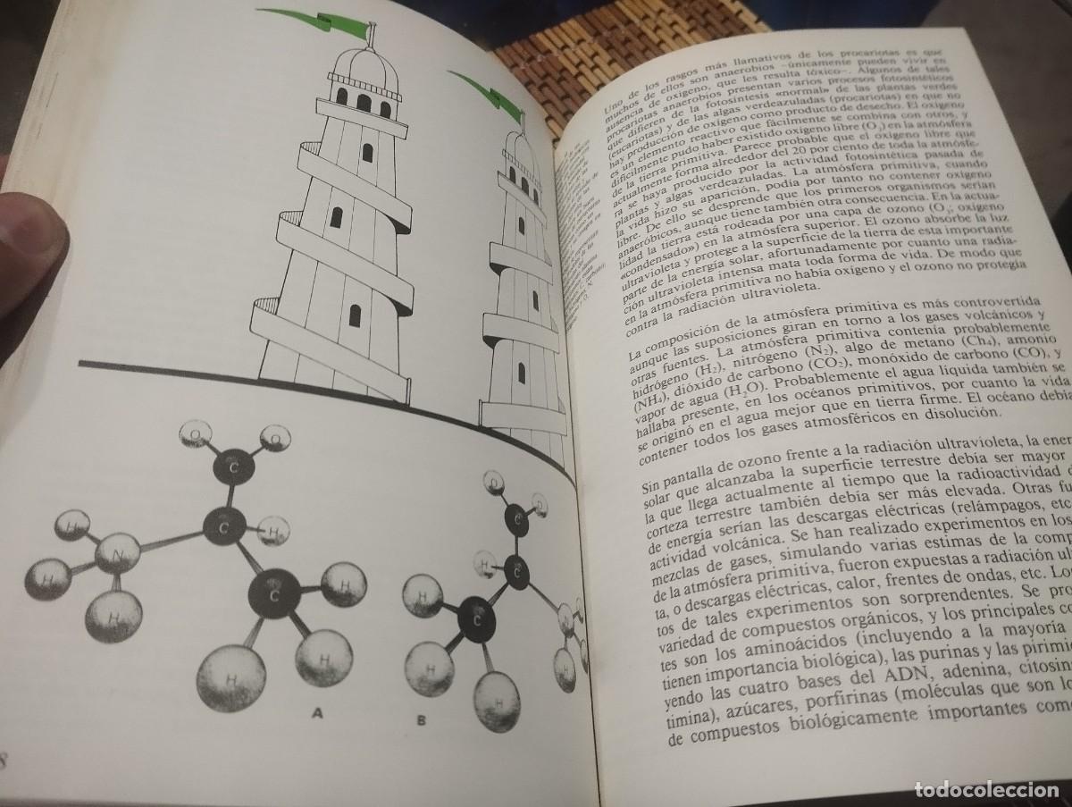 Libros de segunda mano: EVOLUCI&Oacute;N LA TEOR&Iacute;A DE DARWIN/ COLIN PATTERSON - Foto 6