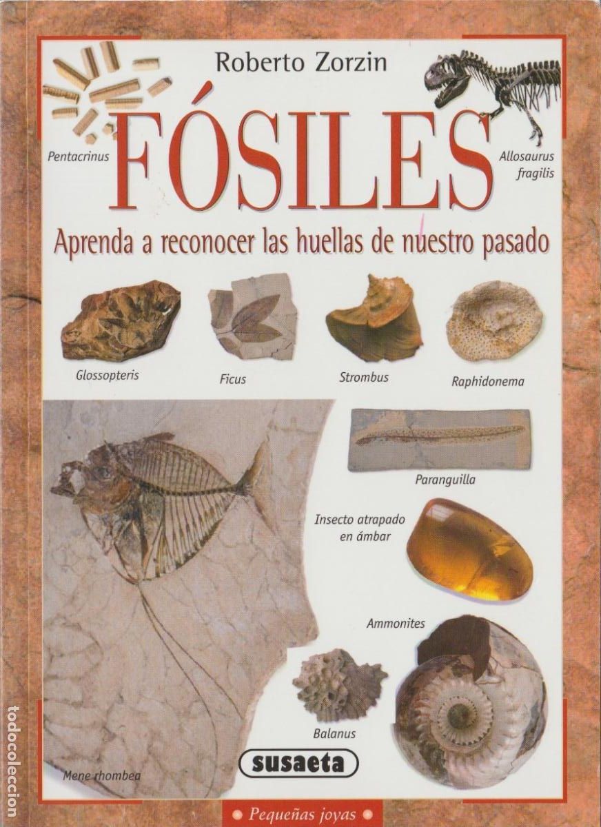 Libros de segunda mano: * PALEONTOLOG&Iacute;A * F&oacute;siles : aprenda a reconocer las huellas de nuestro pasado /Roberto Zorzin