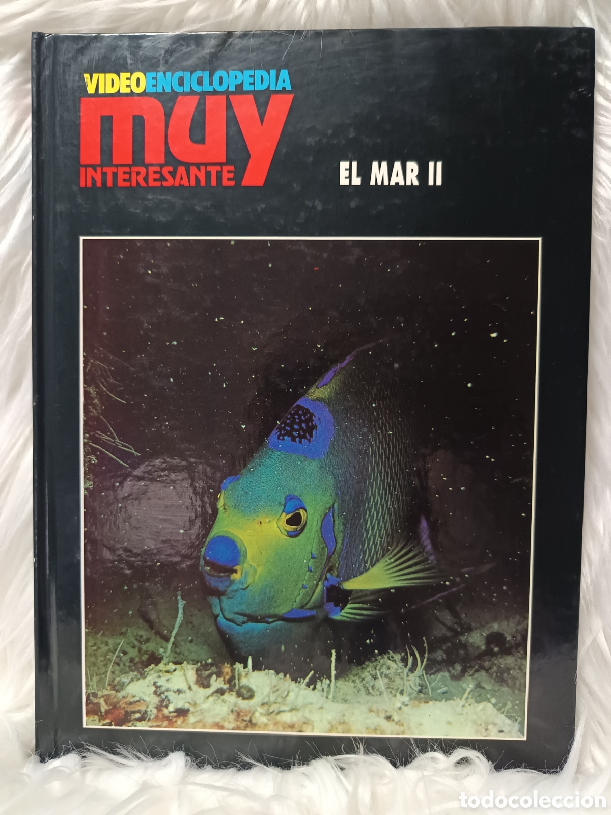 Libros de segunda mano de Ciencias: El Mar II. Videoenciclopedia Muy Interesante