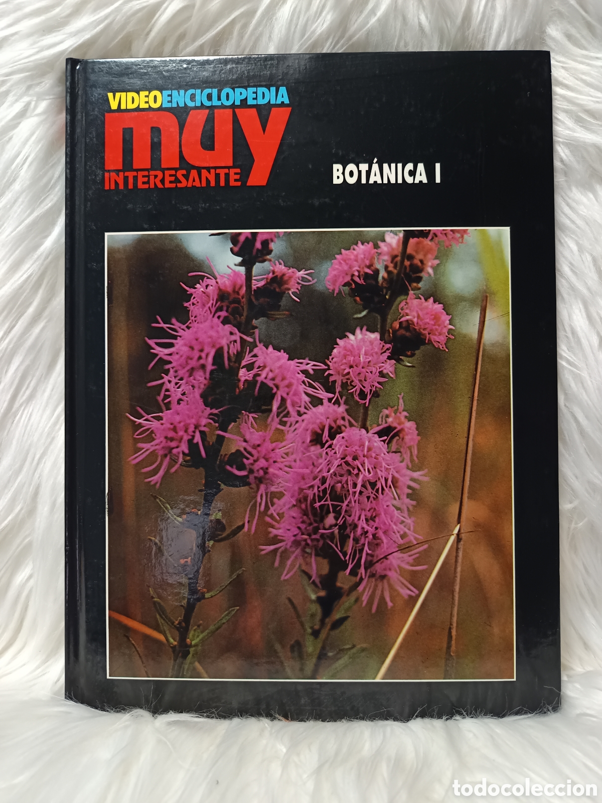 Libros de segunda mano: Bot&aacute;nica I. Videoenciclopedia Muy Interesante