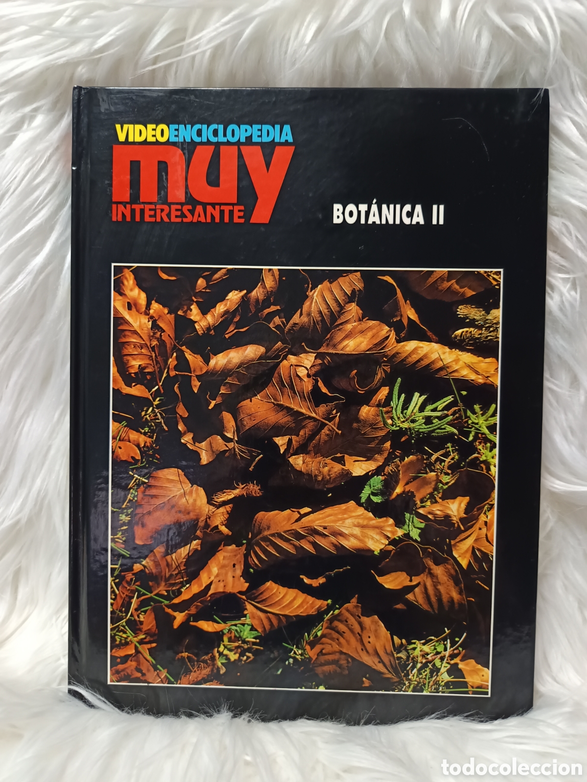 Libros de segunda mano: Bot&aacute;nica II. Videoenciclopedia Muy Interesante