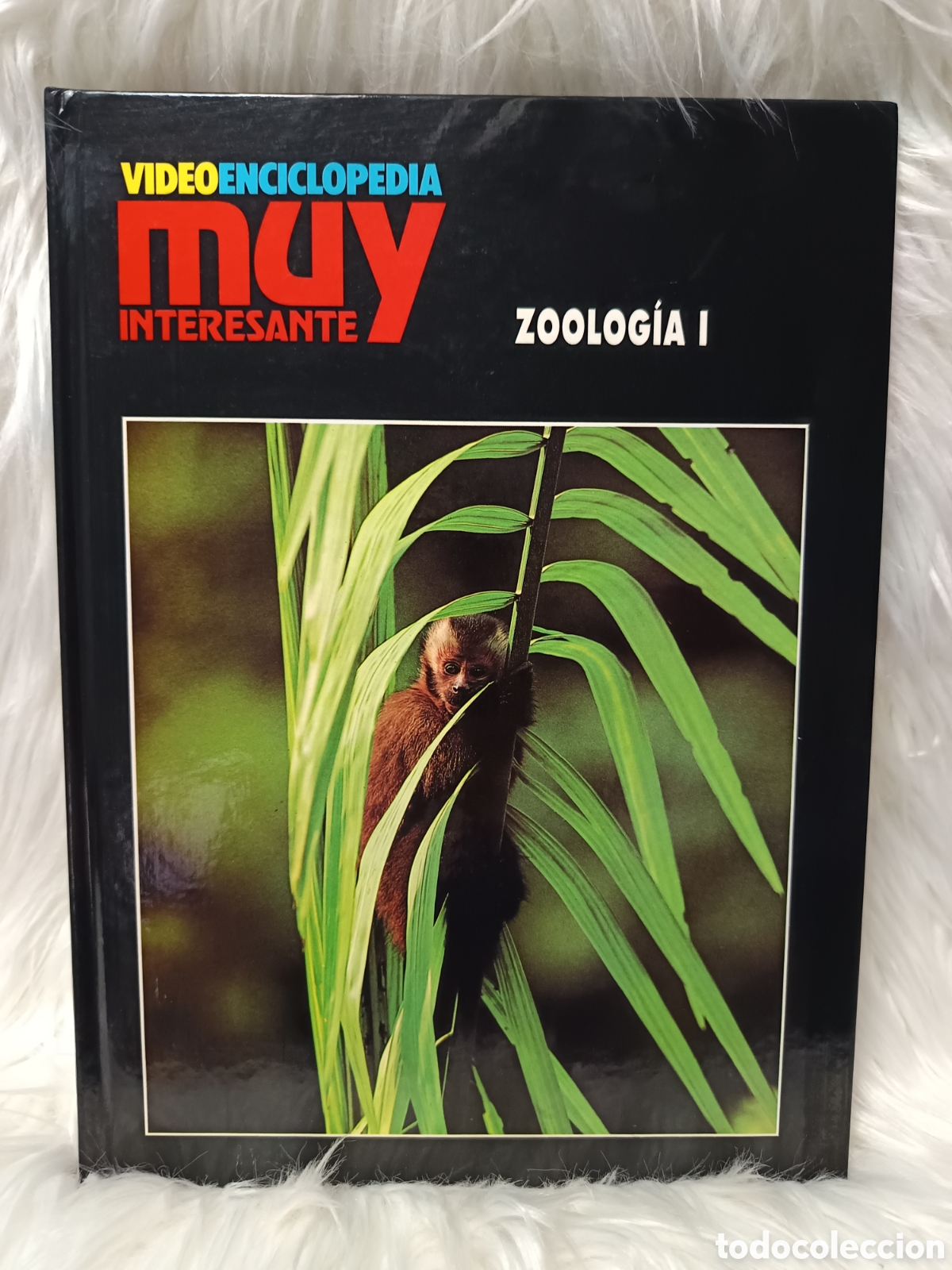 Libros de segunda mano: ZOOLOG&Iacute;A I Videoenciclopedia Muy Interesante