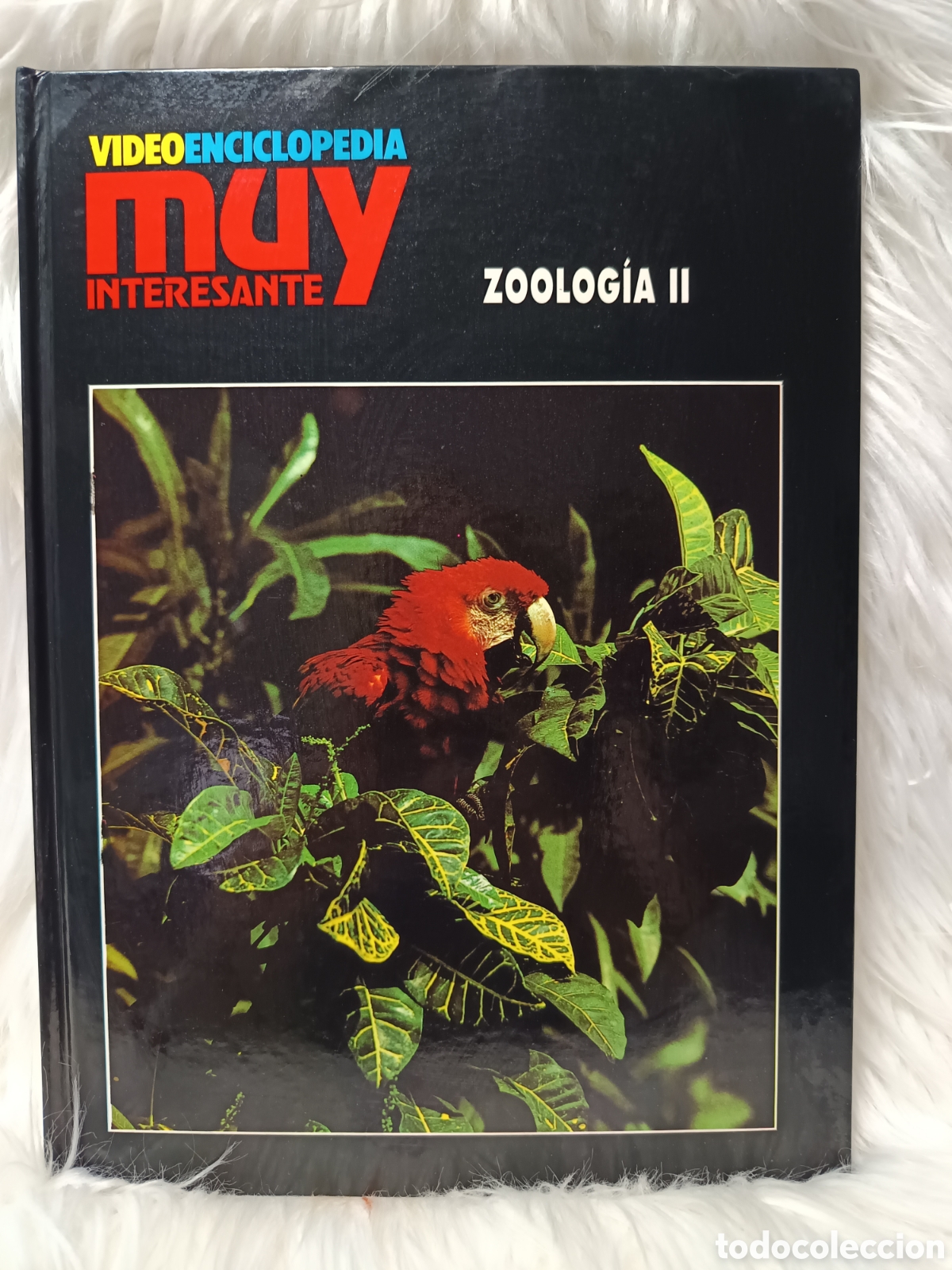 Libros de segunda mano: ZOOLOG&Iacute;A II Videoenciclopedia Muy Interesante