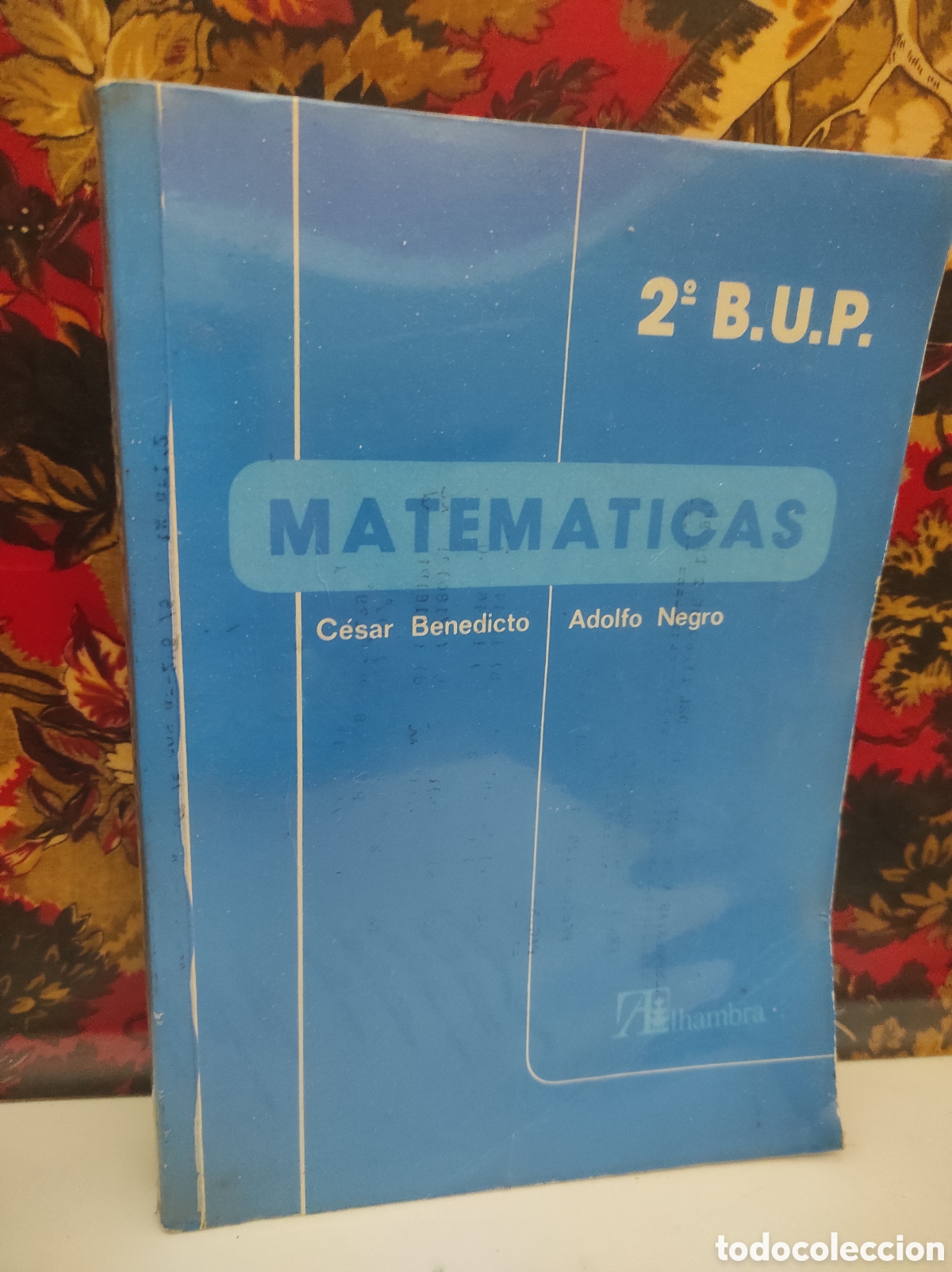 Libros de segunda mano de Ciencias: MATEM&Aacute;TICAS, 2 BUP BENEDICTO MART&Iacute;N, C&Eacute;SAR; NEGRO FERN&Aacute;NDEZ, ADOLFO (PEDIDO MINIMO 10&euro;)