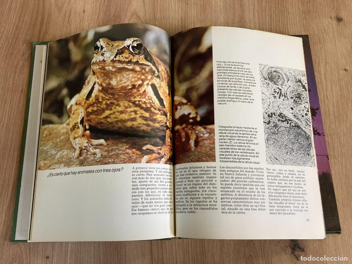 Libros de segunda mano: Enigmas de la naturaleza C&iacute;rculo de Lectores - Foto 5
