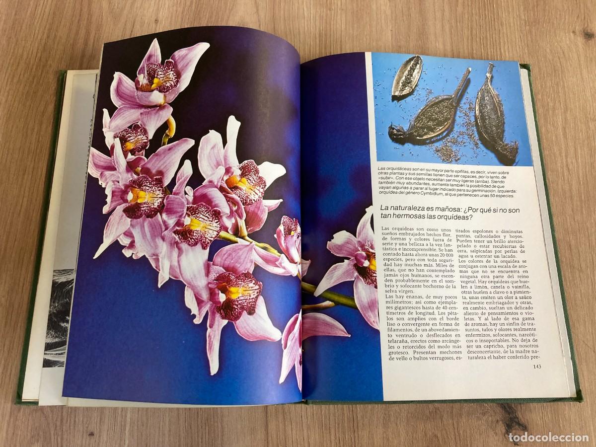Libros de segunda mano: Enigmas de la naturaleza C&iacute;rculo de Lectores - Foto 6