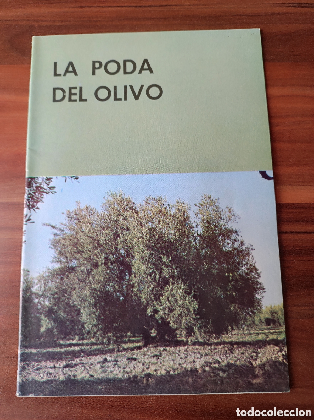 Libros de segunda mano: La Poda del Olivo Crist&oacute;bal Puerta Castell&oacute;
