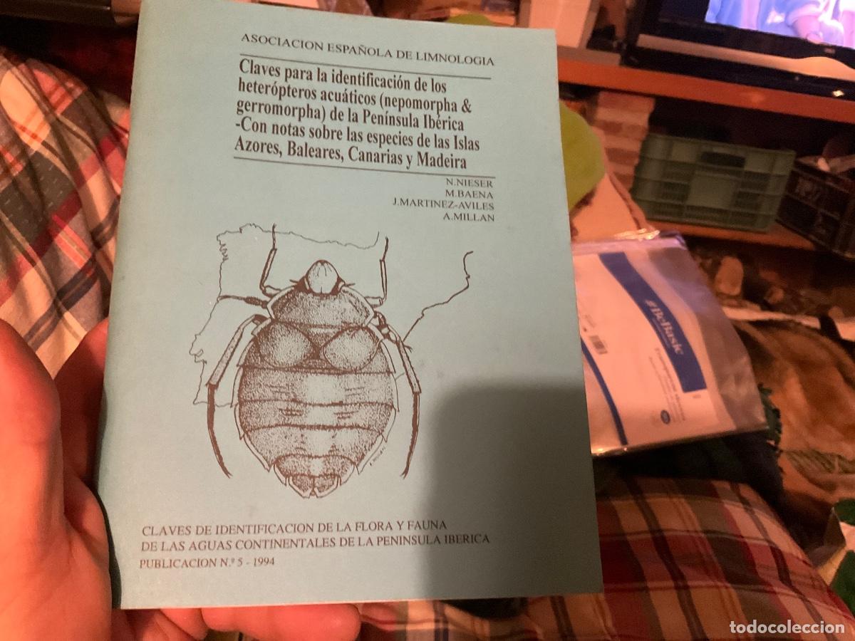 Libros de segunda mano: Claves para la identificaci&oacute;n de los heteropteros acu&aacute;ticos de la pen&iacute;nsula ib&eacute;rica.islas azores, ba