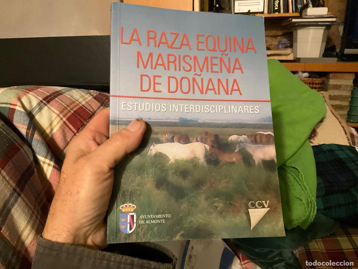 Libros de segunda mano: LA RAZA EQUINA MARISME&Ntilde;A DE DO&Ntilde;ANA. ESTUDIOS INTERDISCIPLINARES. AYUNTAMIENTO DE ALMONTE