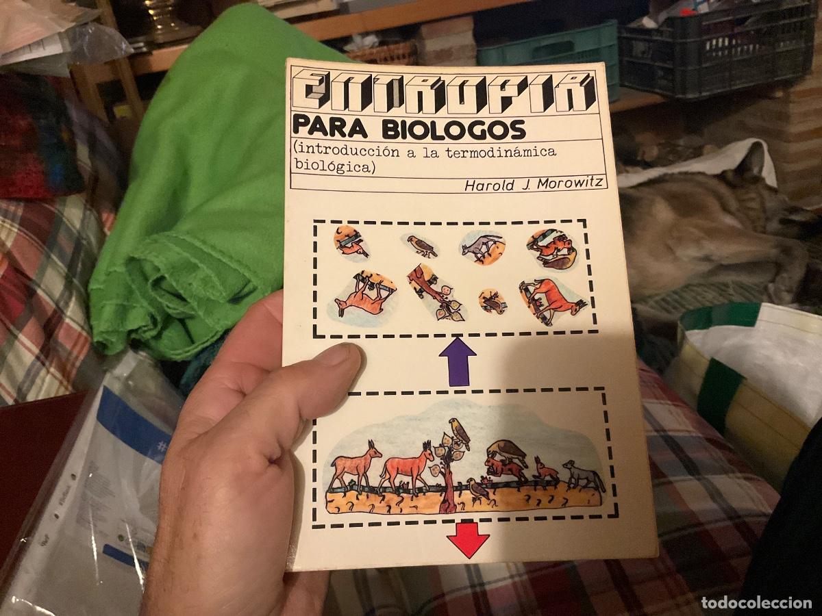 Libros de segunda mano: ENTROPIA PARA BIOLOGOS. HAROLD J. MOROWITZ. 1978. PAGS: 194.